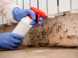 Mold Removal for HVAC Installations in El Paso, TX